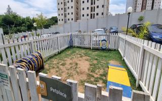 Apartamento para alugar com 2 quartos, 49m² - 2061