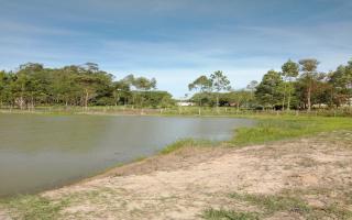 Chácara para vender com 3 quartos, 6747m² - 805