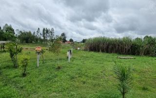 Chácara para vender com 3 quartos, 6747m² - 810