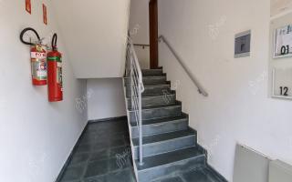 Apartamento para alugar com 2 quartos, 52m² - 1345